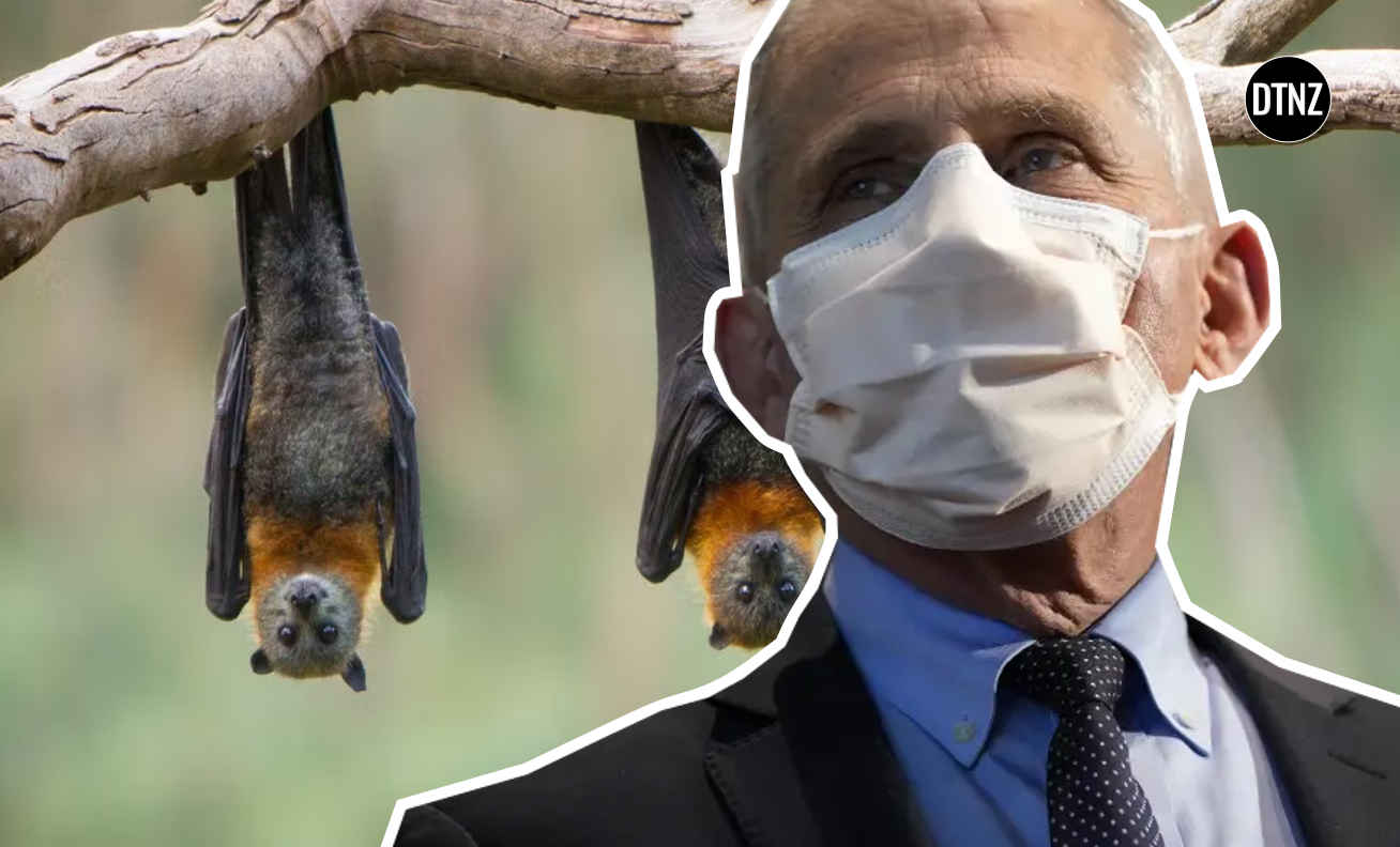 Fauci deleted emails news