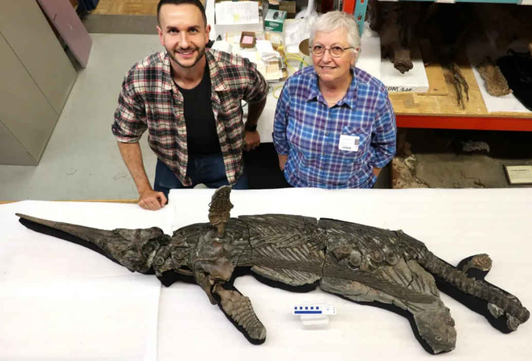 New ‘Sword Dragon’ species identified 1 Sword Dragon news