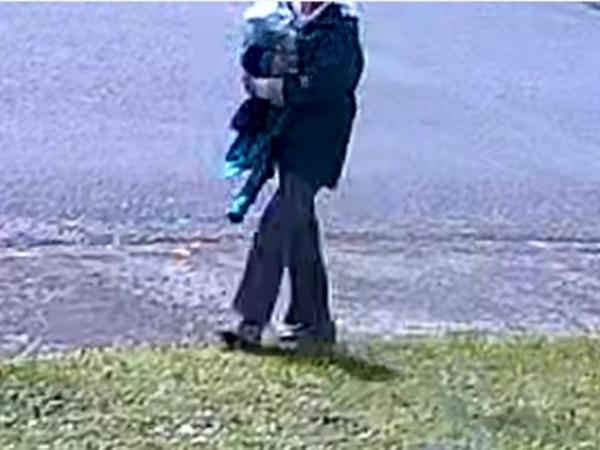 Anita Hart missing news