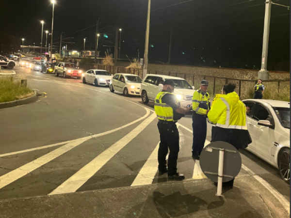 Operation Kereru news