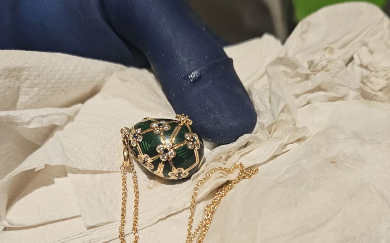 Auckland man remanded in custody after ingesting Faberge Egg in burglary heist