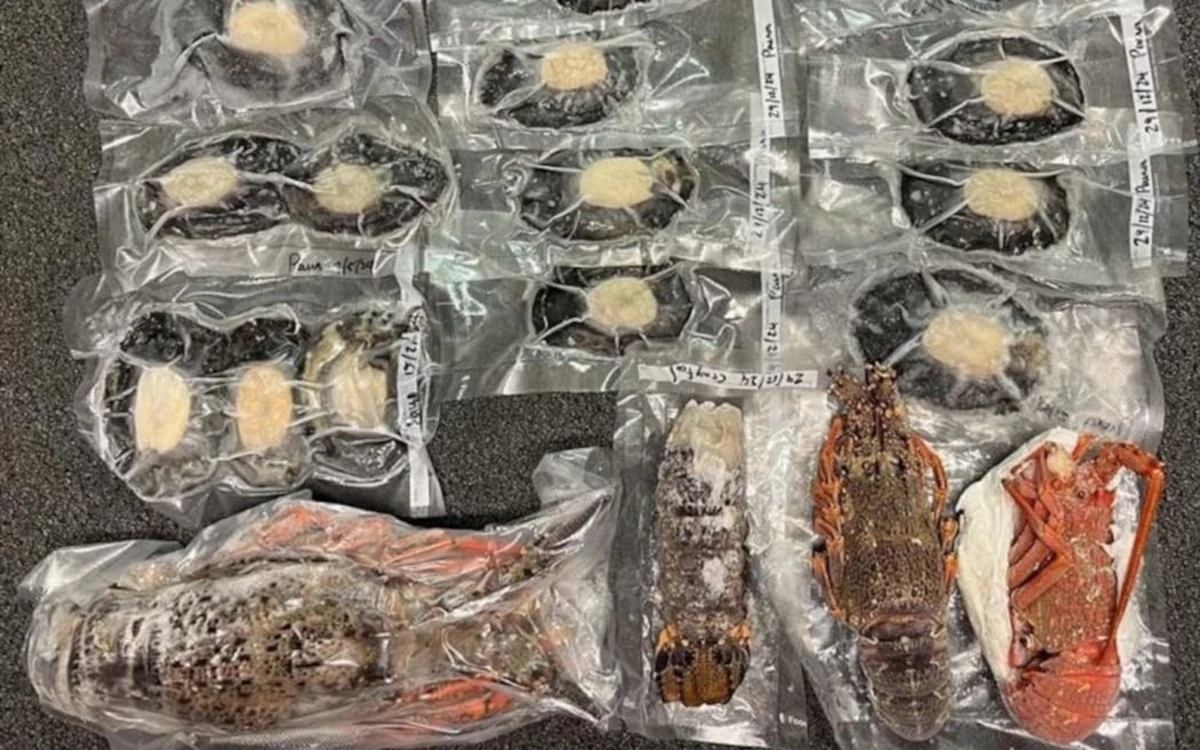 Nathan Spooner charged with illegal crayfish selling