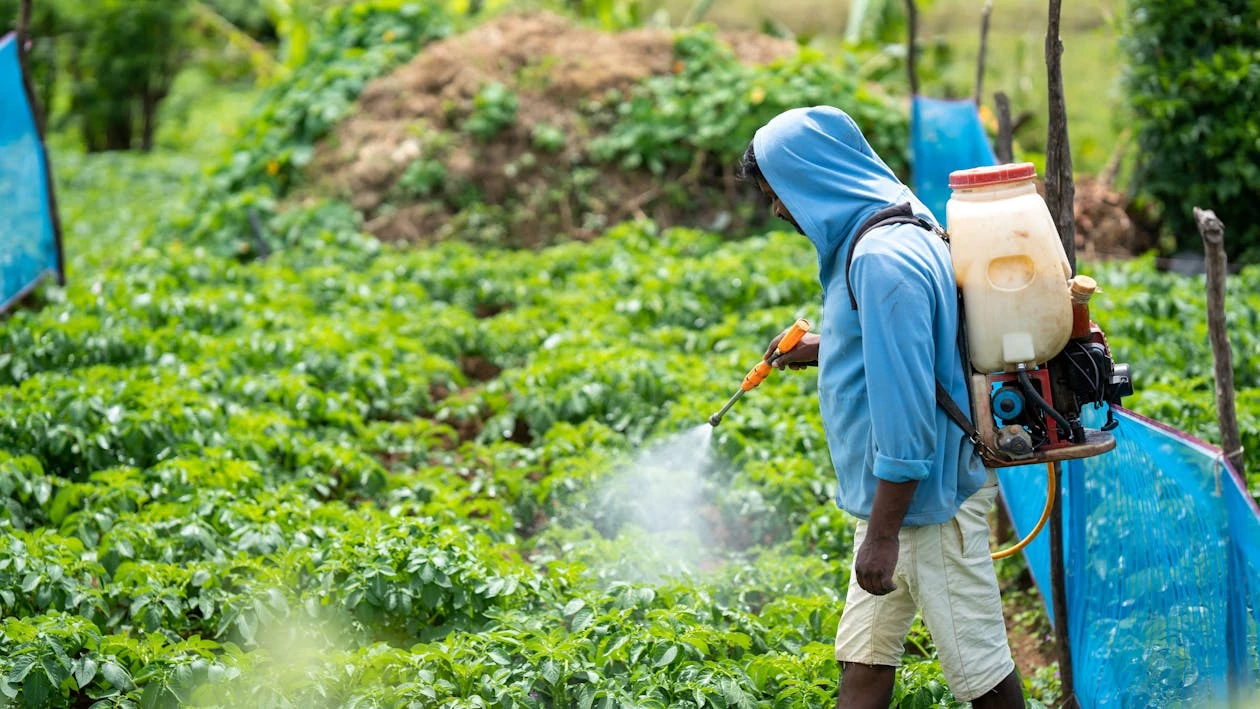 Genetic engineering is causing human and environmental harm