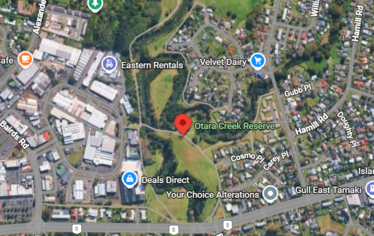 Ōtara man given Preventative Detention for violent sexual attacks 1 Jonathan Tamihana sentenced to Preventive Detention following sexual assaults in Otara Creek Reserve