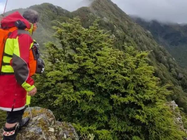 Search for Graham Garnett continues