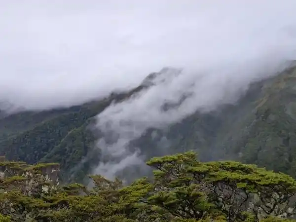 Graham Garnett search continues