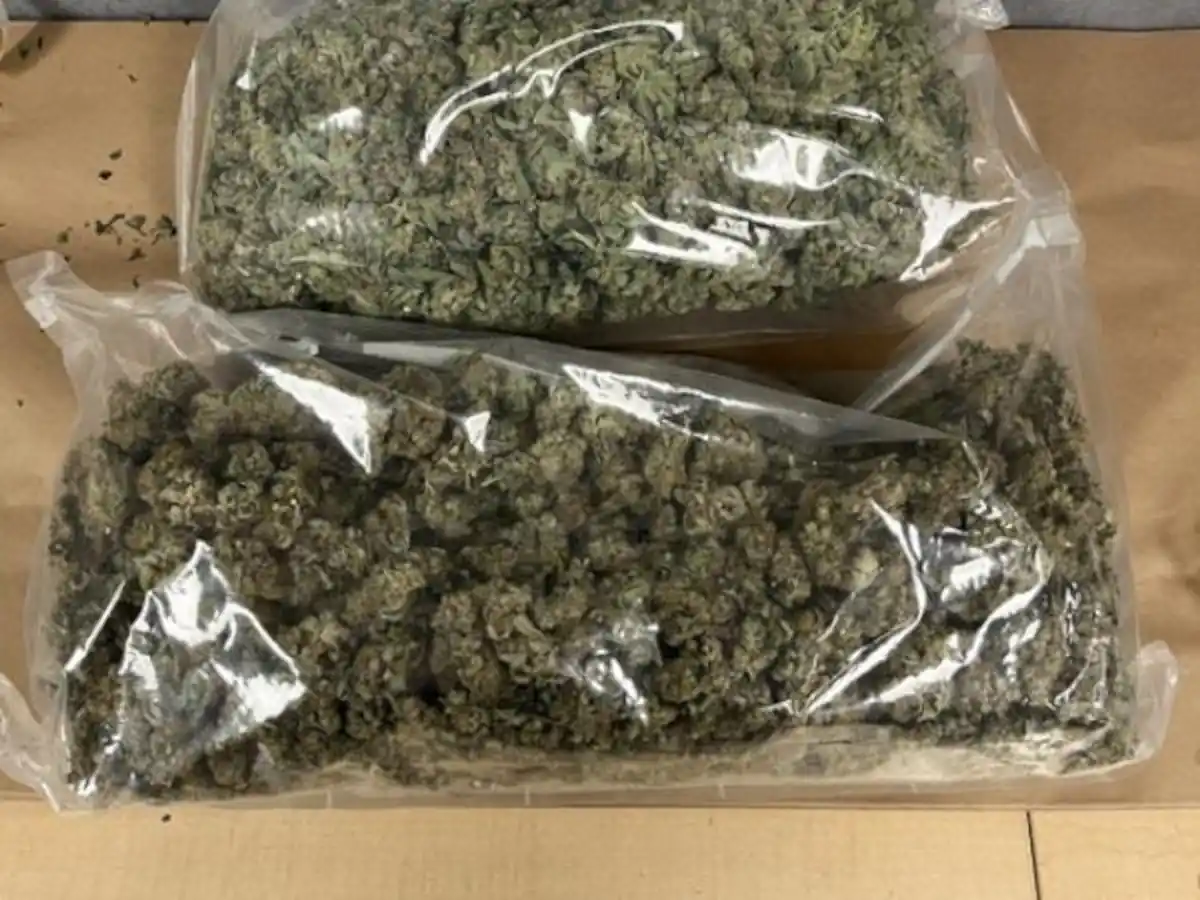 Police chase lands teen in court for cannabis