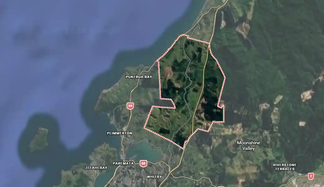 Paekakariki Hill helicopter crash