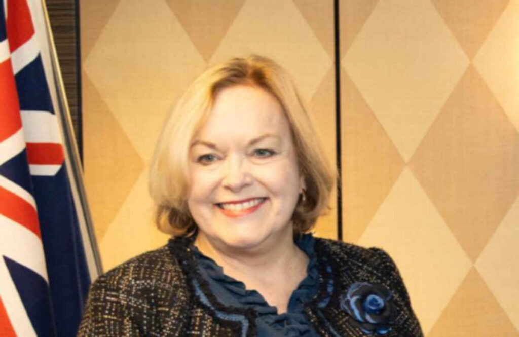 Collins Law Commission appointment questioned