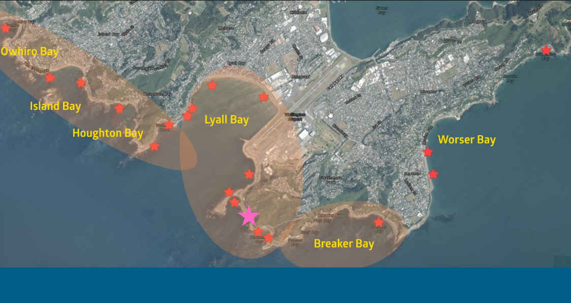 Moa Point independent review announced