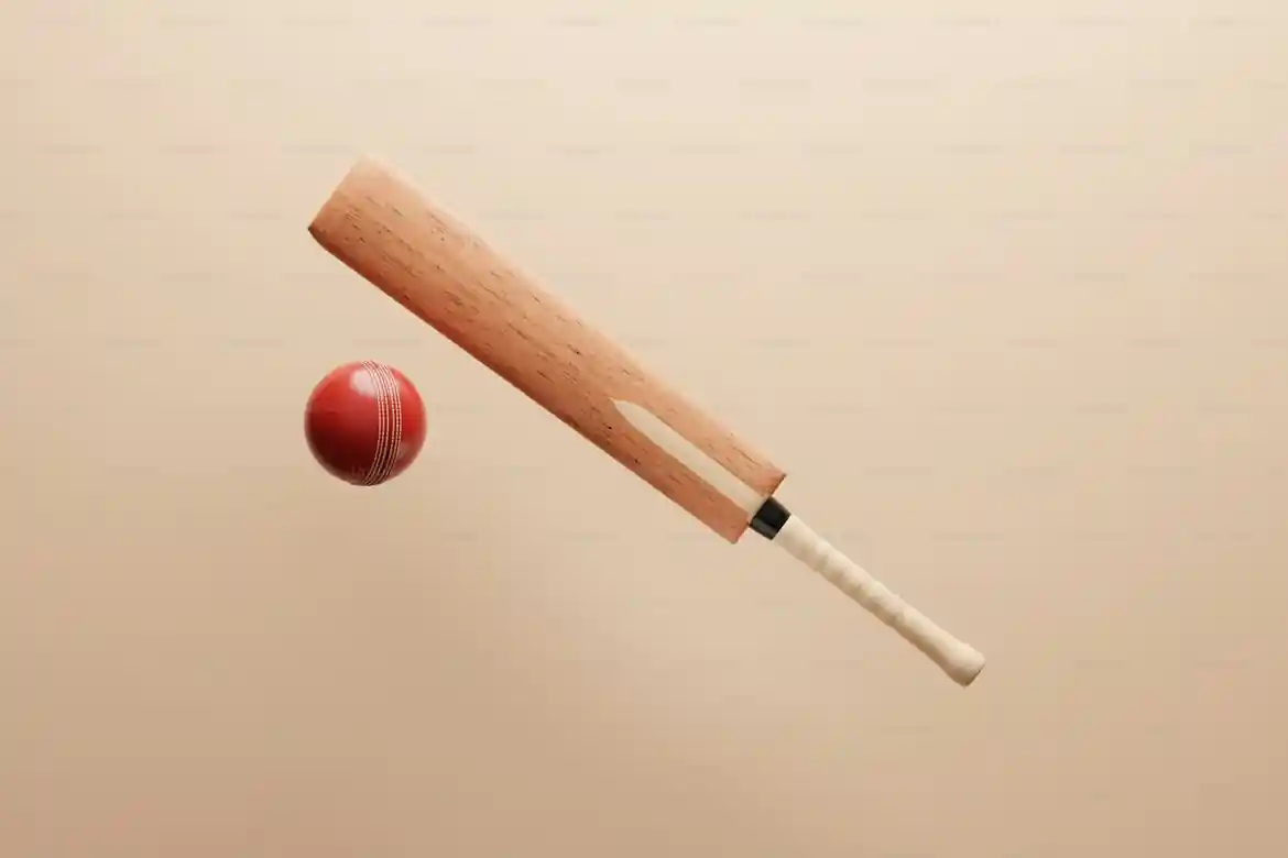 Laminated Type D bats approved for cricket