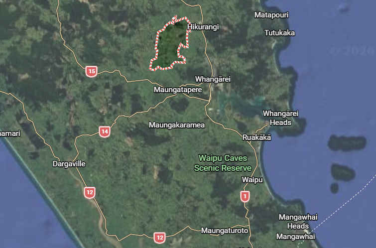 Ruatangata fatal crash