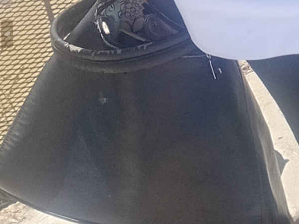 police appeal for sightings2