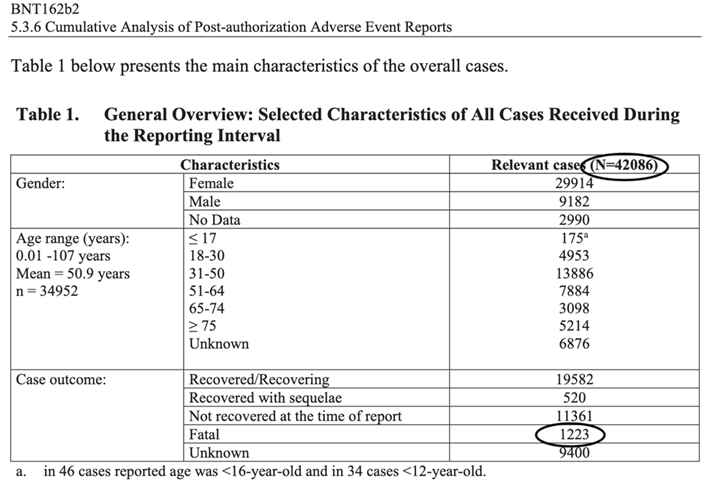 the spirit of lysenko24