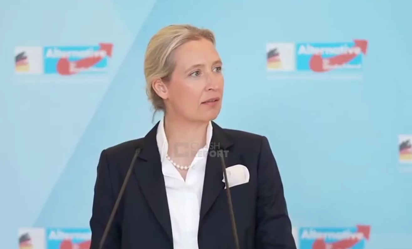 AfD leader urges Germany to halt Ukraine funding over corruption claims 1 Alice Weidel calls for end to Ukraine funding