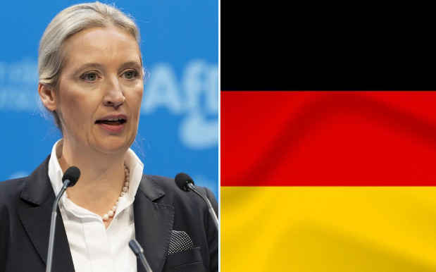 afd makes historic gains