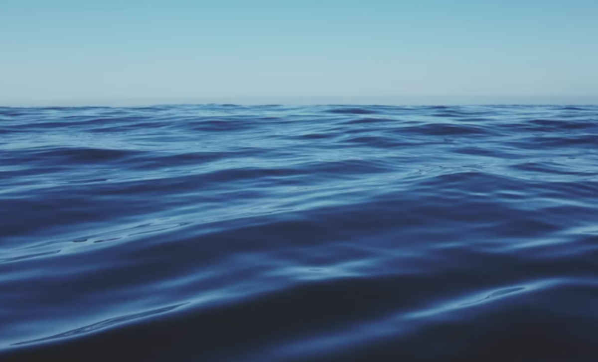 Body found at Kaipara Harbour