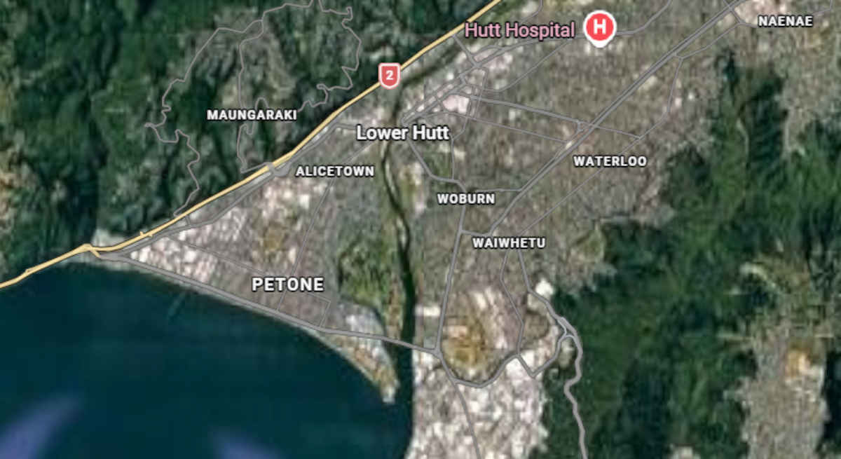 Petone firearms incident news
