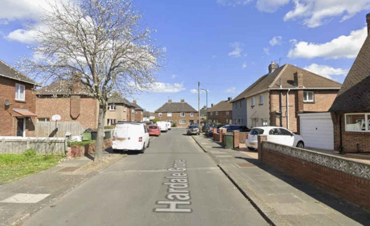 UK baby dies after dog attack 1 Fatal dog attack in UK