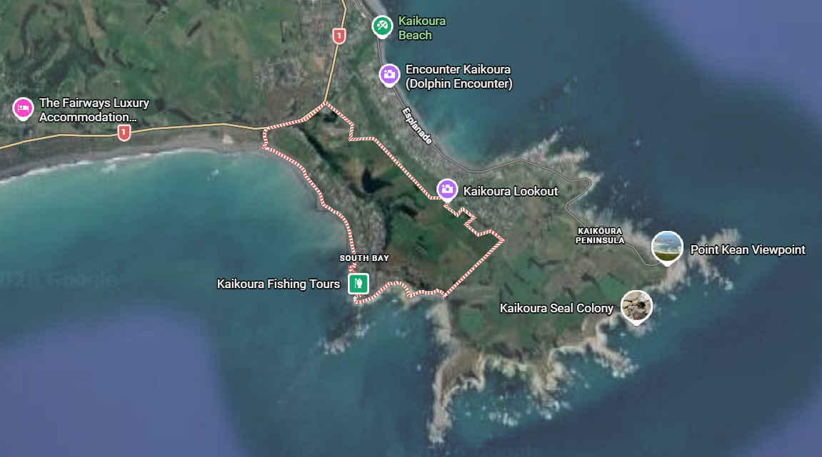 Kaikoura water drowning