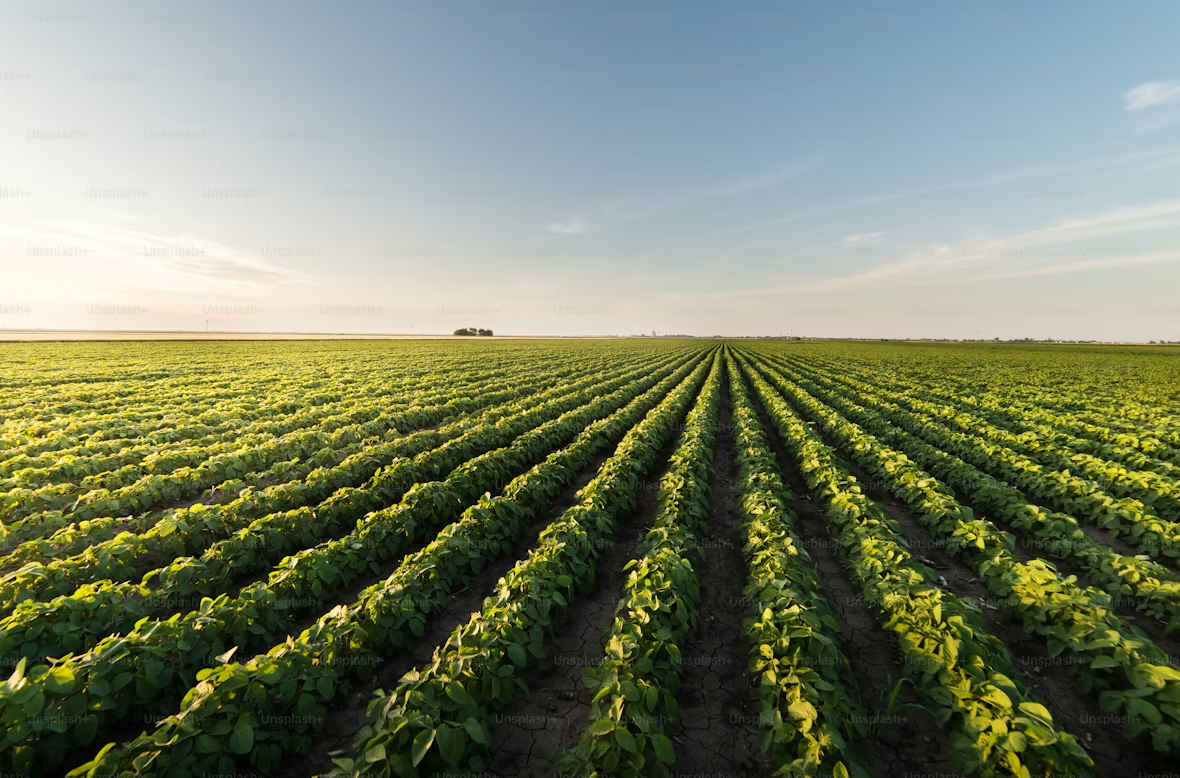 EPA glyphosate court challenge