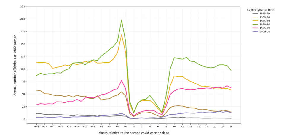 The mystery of falling fertility 4 Infertility in Europe