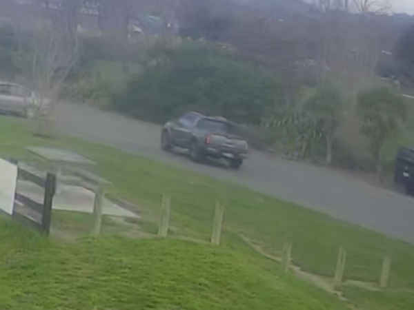 Guthrie Park Havelock North assault