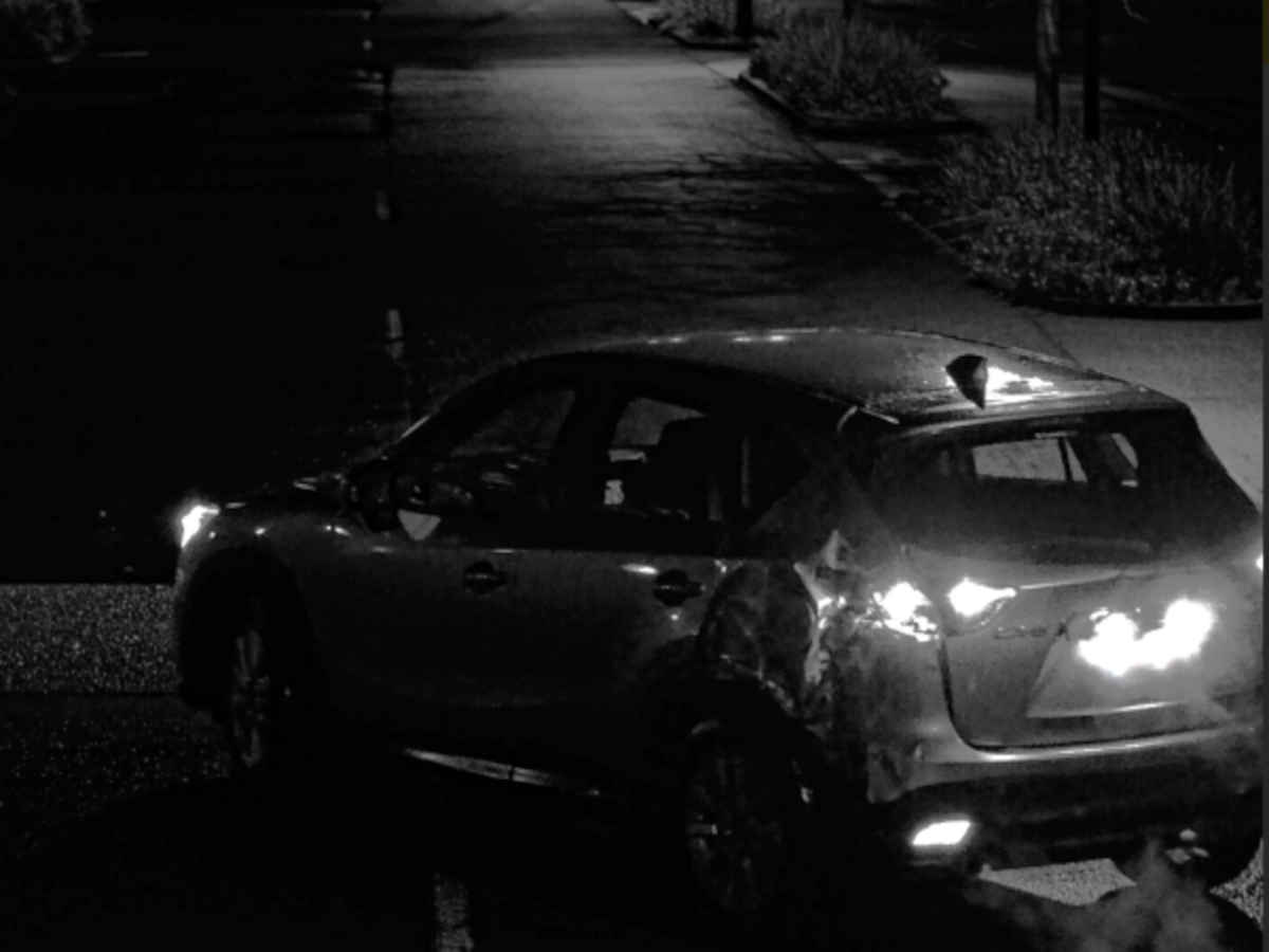 Appeal for information following Hastings burglary 1 Hastings crime news