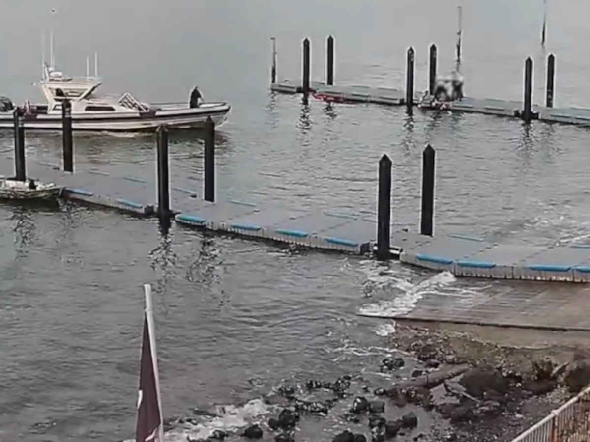 Okahu Bay rescue news