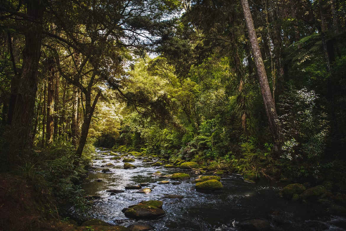 Environmental reporting