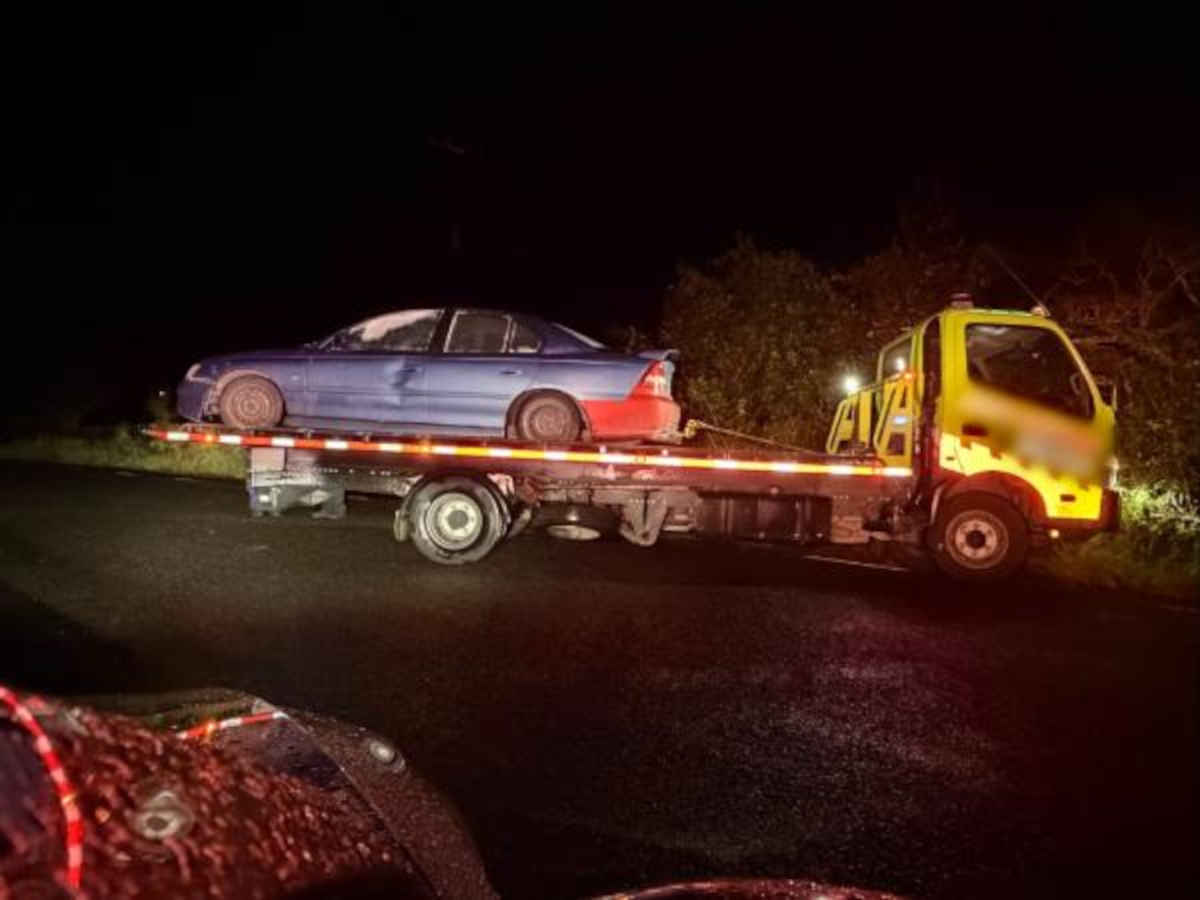 Taranaki street car arrests