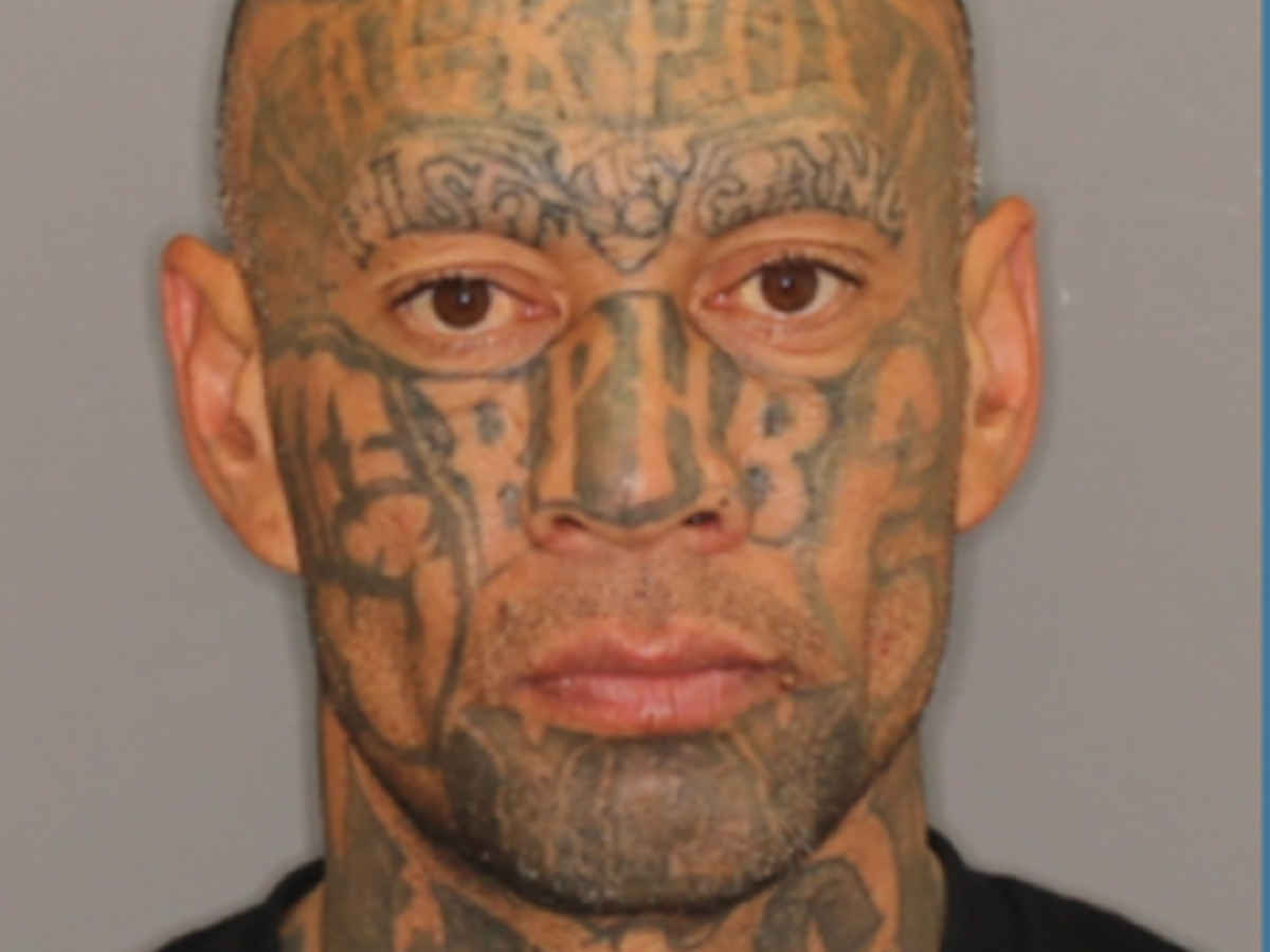 Anthony Ngapera warrant