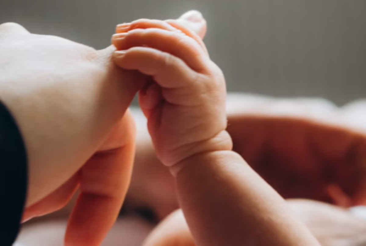New Zealand's birth rate slump raises economic and social concerns 1 NZ birth rate