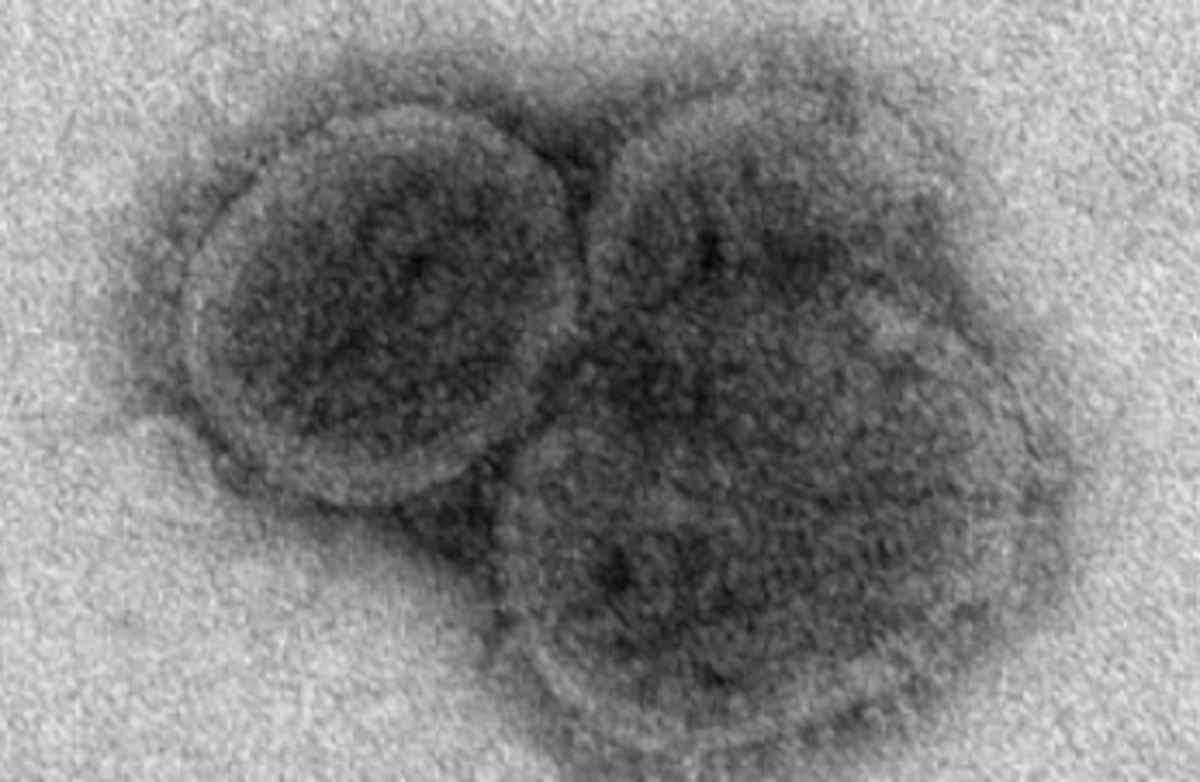 Bourbon virus