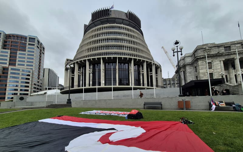 NZ First pledges to abolish Waitangi Tribunal 1 4KH3K26 Tino rangatiratanga outside parliament jpg