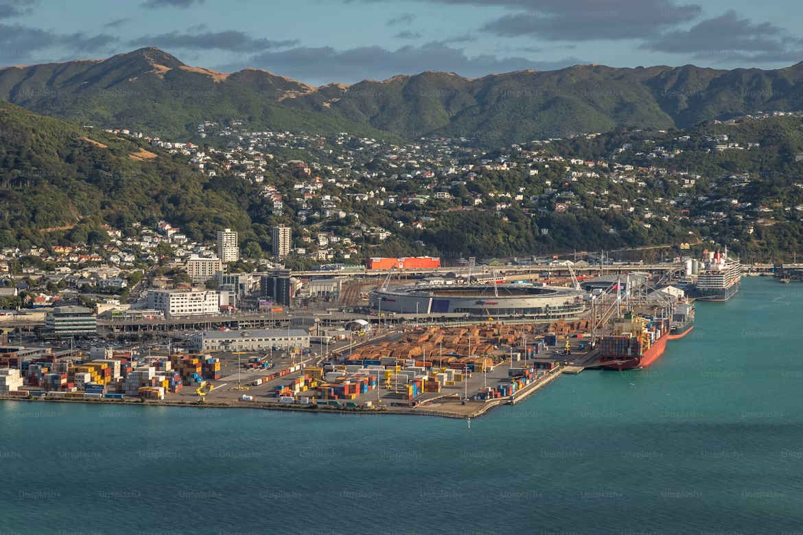 Wellington Port death
