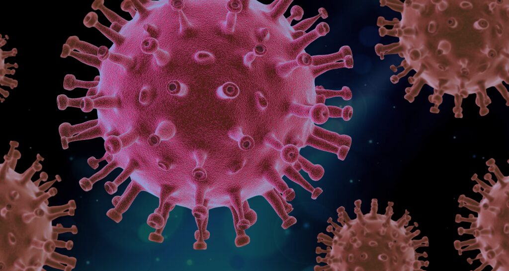 piro4d virus 4937553 1