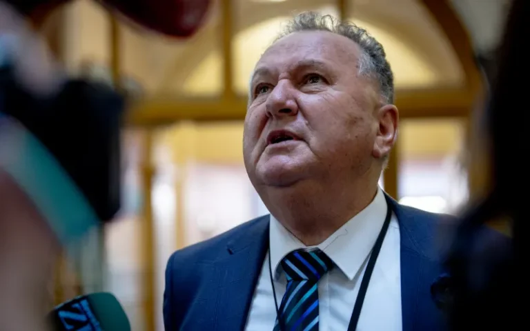 Newsroom targets NZ First over migration comments