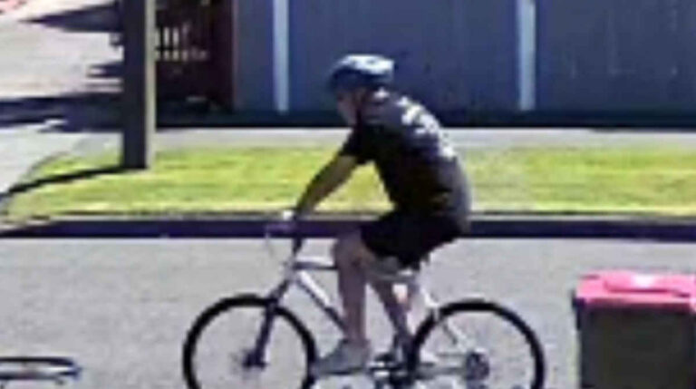 Police appeal for witness following fatal crash, Blenheim