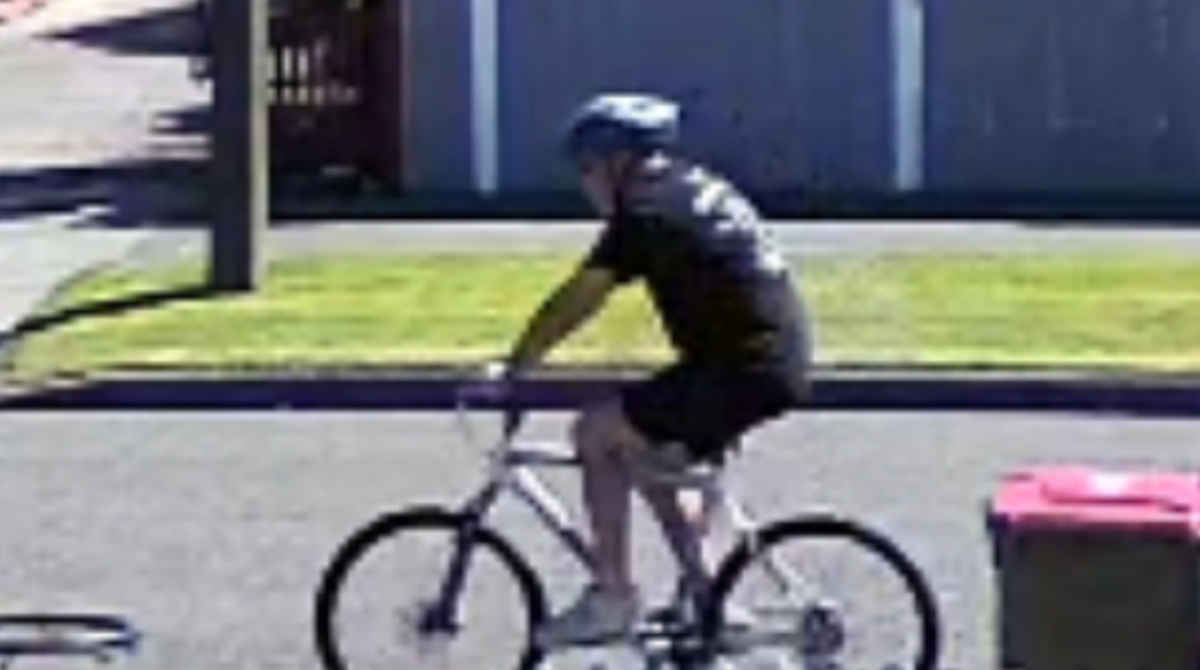 Blenheim witness newws