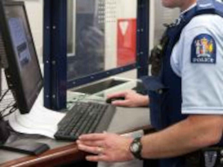 Brazen thief lands in court