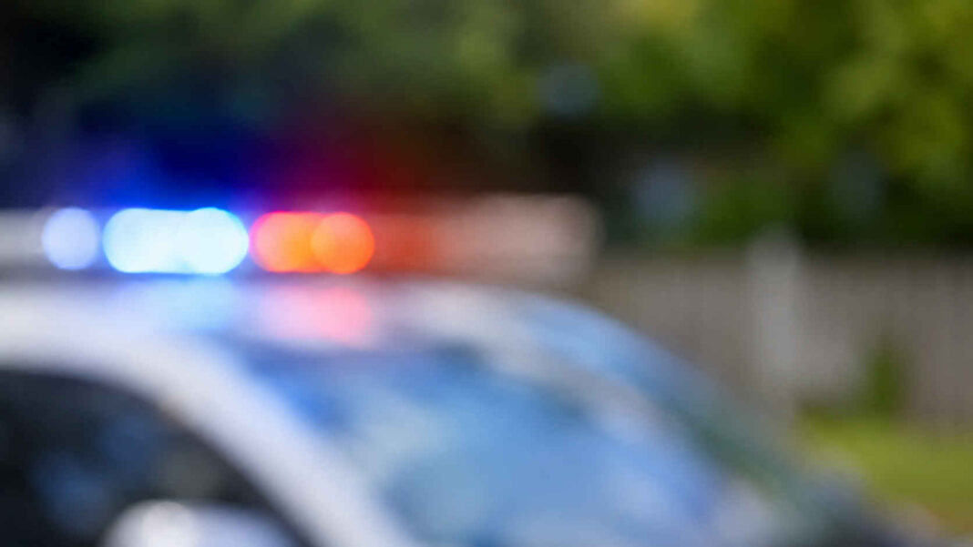 Homicide investigation launched after woman’s body found in Kawerau ...