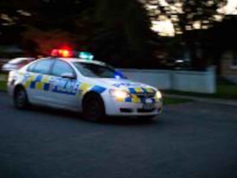 Two arrested following Hawke’s Bay burglaries